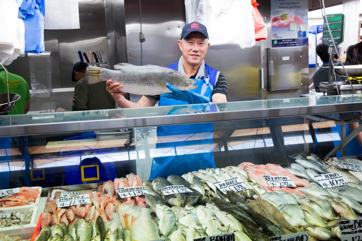 PRESTON HAI XUONG 2 Medium Preston Market